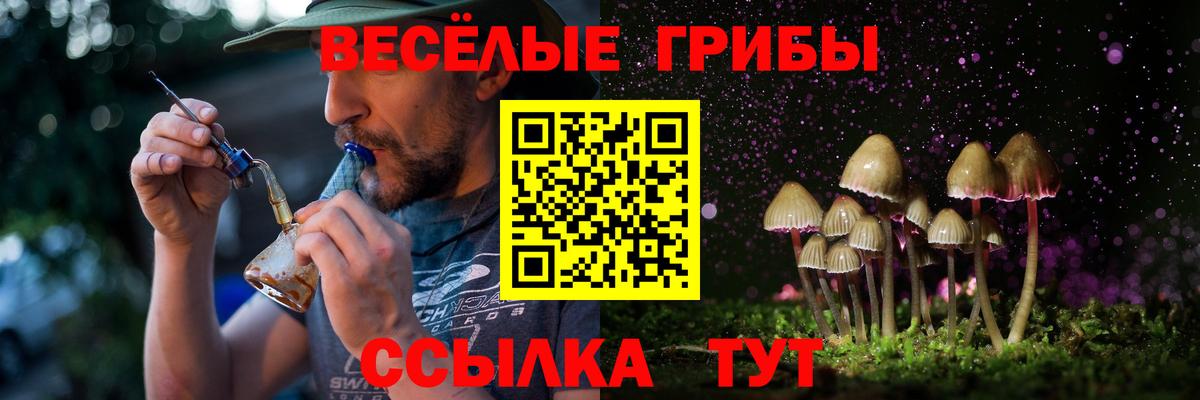 Донецк  Галлюциногенные грибы ЛСД  Вход с VPN 